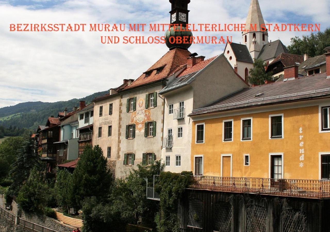 Fewo Gabi Haus Pacher Санкт-Петер-ам-Каммерсберг Экстерьер фото
